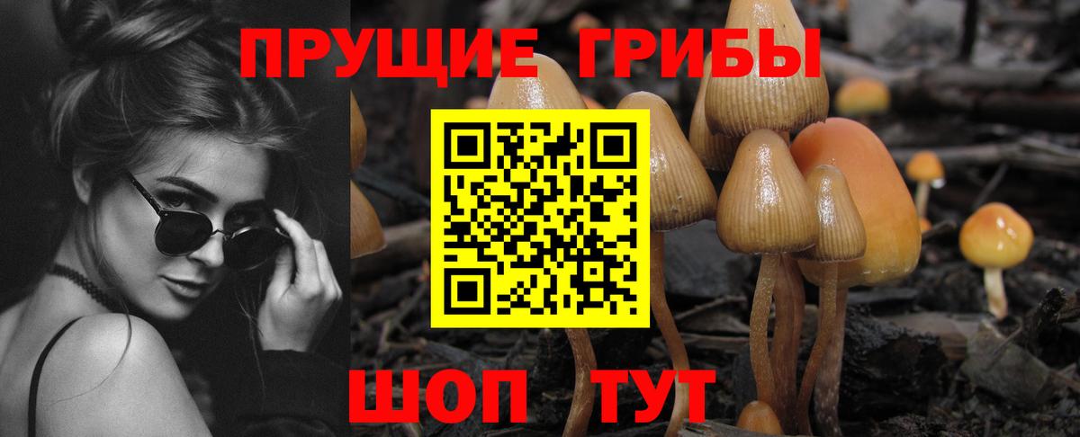 Псилоцибиновые грибы Magic Shrooms Электрогорск